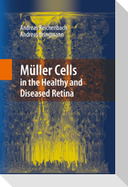 Müller Cells in the Healthy and Diseased Retina