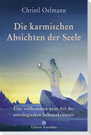 Die karmischen Absichten der Seele