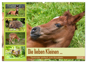 Die lieben Kleinen ... Tierkinder einfach zum Knuddeln (Wandkalender 2024 DIN A2 quer), CALVENDO Monatskalender