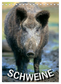 Schweine 2024 (Tischkalender 2024 DIN A5 hoch), CALVENDO Monatskalender