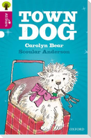 Oxford Reading Tree All Stars: Oxford Level 10 Town Dog