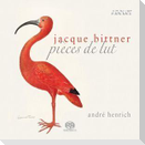 Pi¿ces de Lut