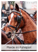 Pferde im Fahrsport (Tischkalender 2025 DIN A5 hoch), CALVENDO Monatskalender