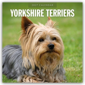 Red, Robin. Yorkshire Terriers - Yorkshire Terrier 2027 - 16-Monatskalender - Original Red Robin Publishing Ltd-Kalender [Mehrsprachig] [Kalender]. Browntrout Verlags GmbH, 2026.