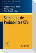 Séminaire de Probabilités XLVI