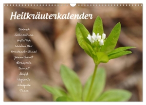 Your Spirit, Use. Heilkräuterkalender (Wandkalender 2024 DIN A3 quer), CALVENDO Monatskalender - Pflanzenportraits zu allen Jahreszeiten.. Calvendo Verlag, 2023.