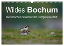 Wildes Bochum (Wandkalender 2024 DIN A3 quer), CALVENDO Monatskalender