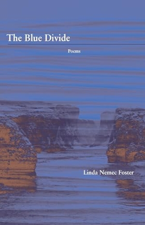 Foster, Linda Nemec. The Blue Divide. Cornerstone Press, 2024.