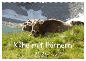 Goldscheider, Stefanie. Kühe mit Hörnern (Wandkalender 2024 DIN A2 quer), CALVENDO Monatskalender - Kühe mit Hörnern auf der Weide und bei der Arbeit. Calvendo Verlag, 2023.