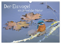 Der Eisvogel, ein Juwel der Natur (Wandkalender 2025 DIN A3 quer), CALVENDO Monatskalender