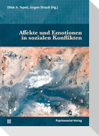 Affekte und Emotionen in sozialen Konflikten