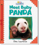 Active Minds Explorers: Meet Baby Panda