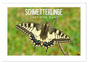 Schmetterlinge: zart und bunt (Wandkalender 2024 DIN A3 quer), CALVENDO Monatskalender