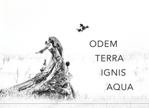 Troppko, Herwig K.. Odem Terra Ignis Aqua - Gedichte. Books on Demand, 2019.