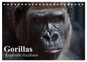 Gorillas. Kraftvolle Pazifisten (Tischkalender 2024 DIN A5 quer), CALVENDO Monatskalender
