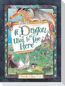 A Dragon Used to Live Here