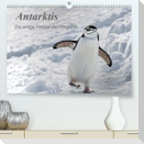 Antarktis, die eisige Heimat der Pinguine (Premium, hochwertiger DIN A2 Wandkalender 2022, Kunstdruck in Hochglanz)