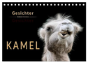 Kamel Gesichter (Tischkalender 2025 DIN A5 quer), CALVENDO Monatskalender