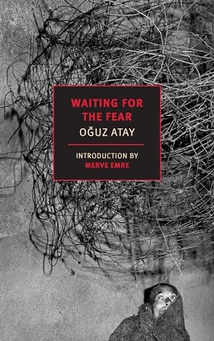 Atay, Oguz. Waiting for the Fear. New York Review Books, 2024.