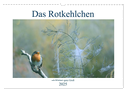 Das Rotkehlchen, ein Kleiner ganz Groß (Wandkalender 2025 DIN A3 quer), CALVENDO Monatskalender