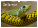 Schlangen (Wandkalender 2024 DIN A4 quer), CALVENDO Monatskalender