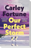 Our Perfect Storm