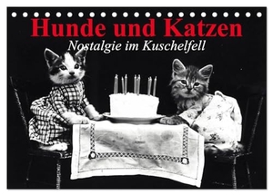 Stanzer, Elisabeth. Hunde und Katzen - Nostalgie im Kuschelfell (Tischkalender 2024 DIN A5 quer), CALVENDO Monatskalender - Süße Tiere im Jahr 1914. Calvendo Verlag, 2023.