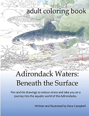 Campbell, Dave. Adirondack Waters: Beneath the Surface. Touchladybirdlucky Studios, 2016.