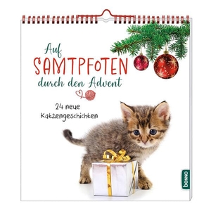Wendler, Heike. Auf Samtpfoten durch den Advent - 24 neue Katzengeschichten. St. Benno Verlag GmbH, 2025.