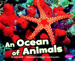 Scott, Janine. An Ocean of Animals. Capstone, 2011.