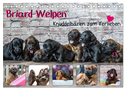 Briard-Welpen - Knuddelbären zum Verlieben (Tischkalender 2025 DIN A5 quer), CALVENDO Monatskalender