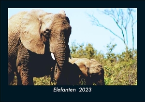 Tobias Becker. Elefanten  2023 Fotokalender DIN A5 - Monatskalender mit Bild-Motiven von Haustieren, Bauernhof, wilden Tieren und Raubtieren. Vero Kalender, 2022.