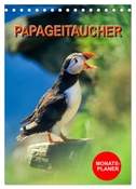 Papageitaucher Monatsplaner (Tischkalender 2024 DIN A5 hoch), CALVENDO Monatskalender