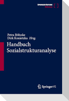 Handbuch Sozialstrukturanalyse