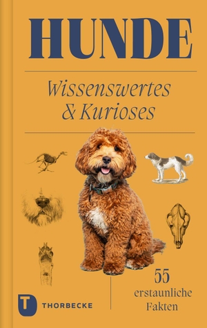 Hunde - Wissenswertes & Kurioses - 55 erstaunliche Fakten. Thorbecke Jan Verlag, 2026.
