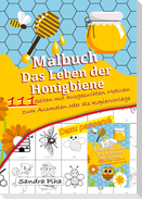 KitaFix Malbuch Das Leben der Honigbiene
