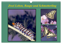 Zwei Leben, Raupe und Schmetterling (Wandkalender 2024 DIN A3 quer), CALVENDO Monatskalender
