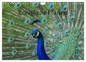 Kattobello, Kattobello. Königliche Pfauen (Wandkalender 2024 DIN A4 quer), CALVENDO Monatskalender - Der Blaue Pfau (Pavo cristatus). Calvendo Verlag, 2023.