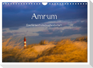 Amrum - Eine farbenfrohe Insellandschaft (Wandkalender 2025 DIN A4 quer), CALVENDO Monatskalender