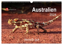 Australien tierisch gut 2024 (Wandkalender 2024 DIN A3 quer), CALVENDO Monatskalender
