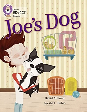 Almond, David. Joe's Dog - Band 09 Gold/Band 12 Copper. HarperCollins Publishers, 2013.