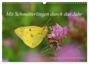 Mit Schmetterlingen durch das Jahr (Wandkalender 2024 DIN A3 quer), CALVENDO Monatskalender