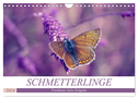 Schmetterlinge im Fokus (Wandkalender 2024 DIN A4 quer), CALVENDO Monatskalender