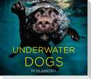 Underwater Dogs