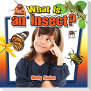 What Is an Insect?