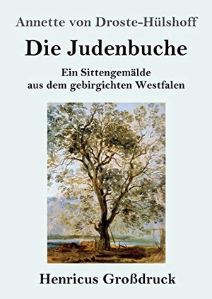 Droste-Hülshoff, Annette von. Die Judenbuche (Großdruck) - Ein Sittengemälde aus dem gebirgichten Westfalen. Henricus, 2019.