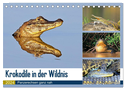 Krokodile in der Wildnis (Tischkalender 2024 DIN A5 quer), CALVENDO Monatskalender