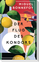 Der Flug des Kondors