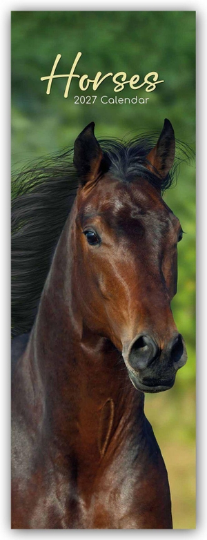 Gifted Stationery Co. Ltd. Horses - Pferde - Slimline-Kalender 2027 - Original Gifted Stationery Kalender - Slimline [Mehrsprachig] [Kalender]. Browntrout Verlags GmbH, 2026.