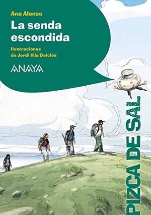 Conejo Alonso, Ana Isabel / Vila Delclòs, Jordi et al. La senda escondida. Anaya Educación, 2015.